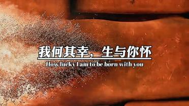 探探猫宝石岛